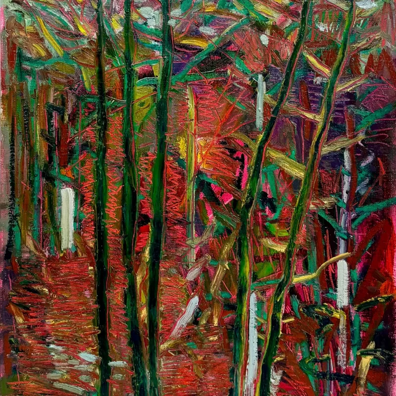 swamp light
